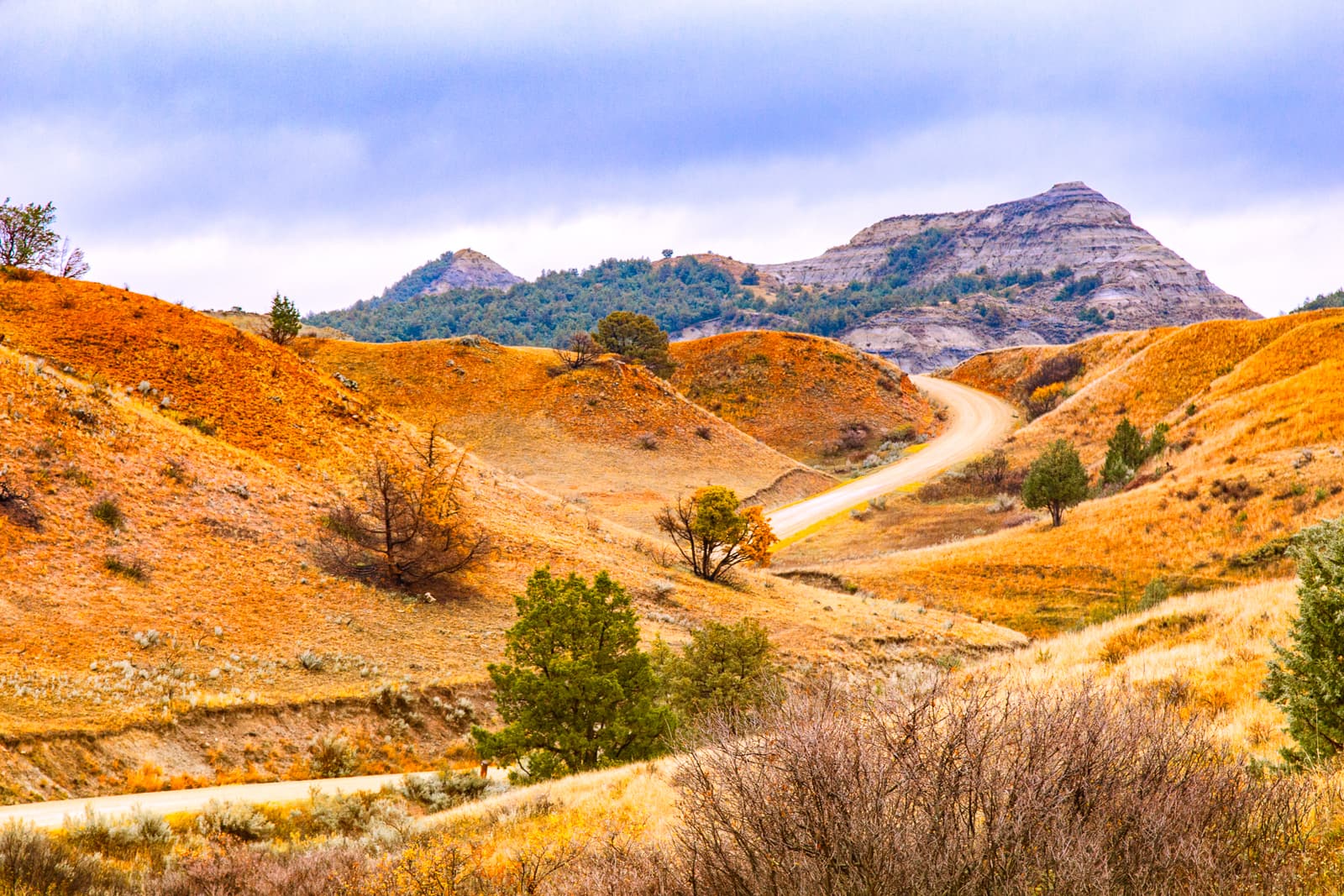 Cost To Build A House In North Dakota (2026)