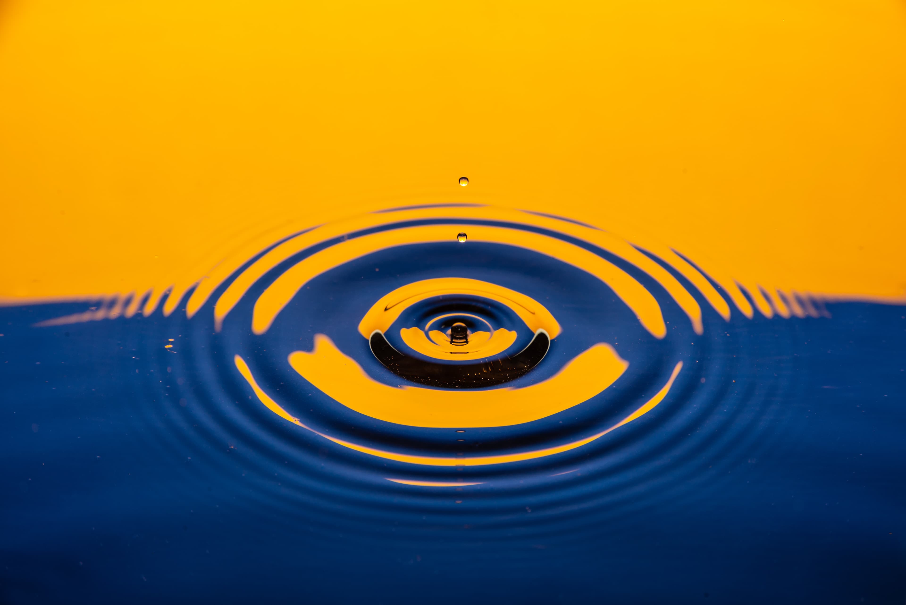 City Water Vs Well Water (2026)