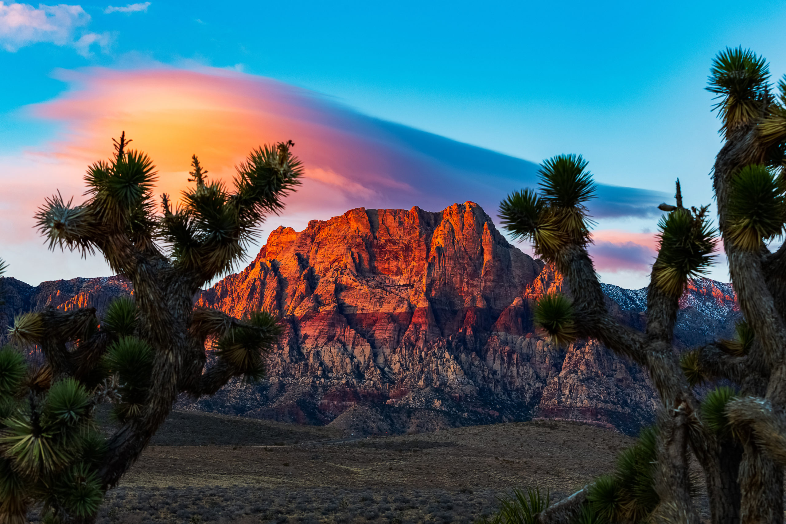 New Mexico Landscape