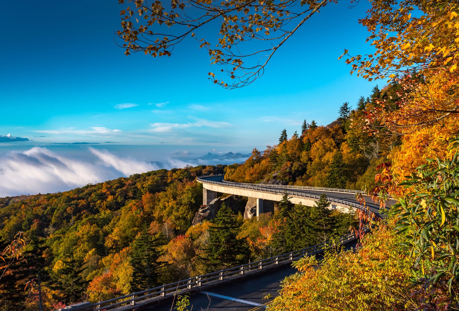 North Carolina Landscape