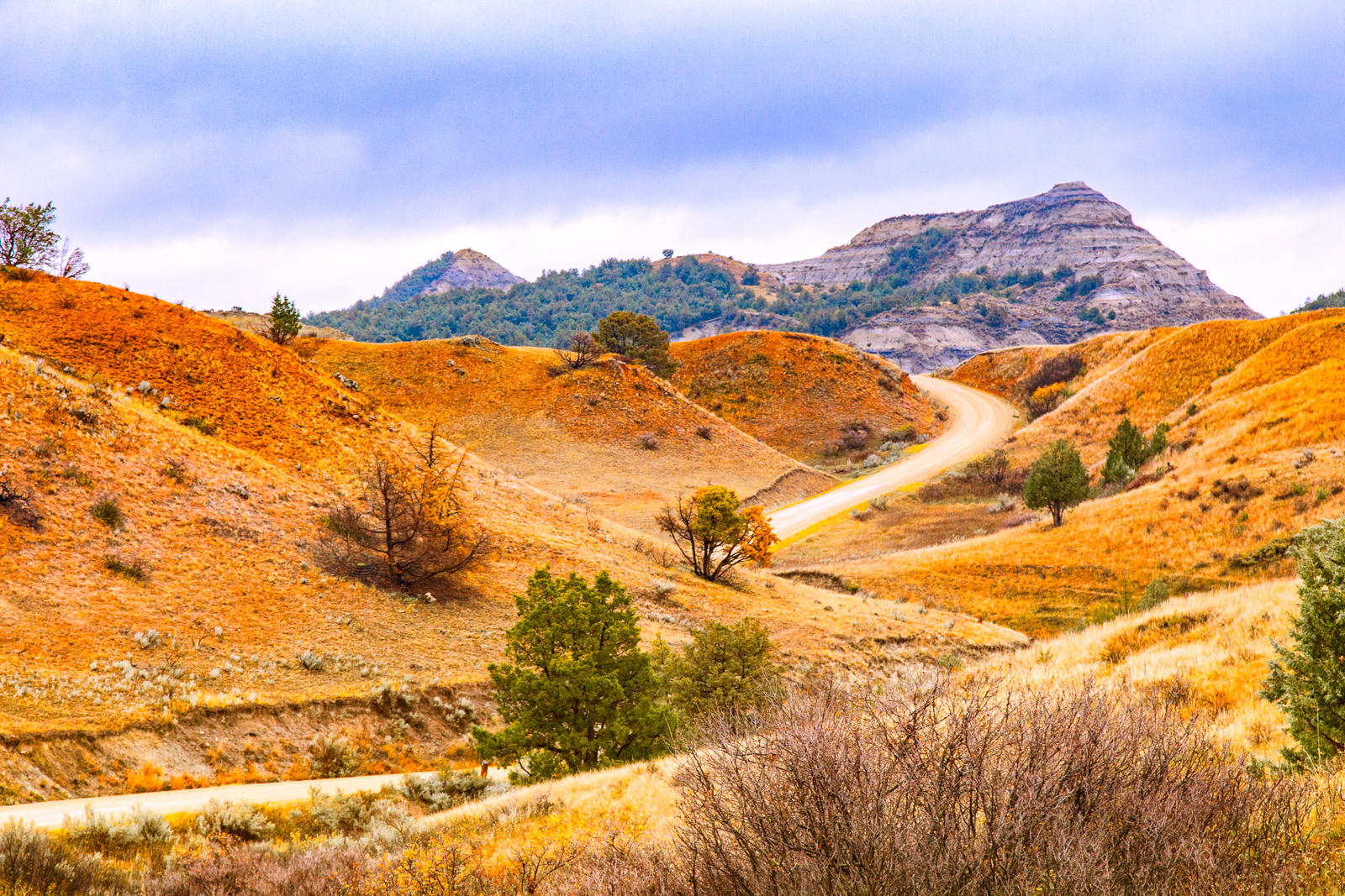 North Dakota Landscape