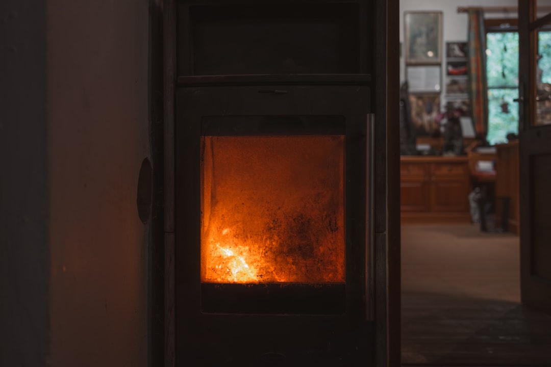 Comparison of wood stove vs pellet stove vs wood fireplace with typical venting routes and cost drivers